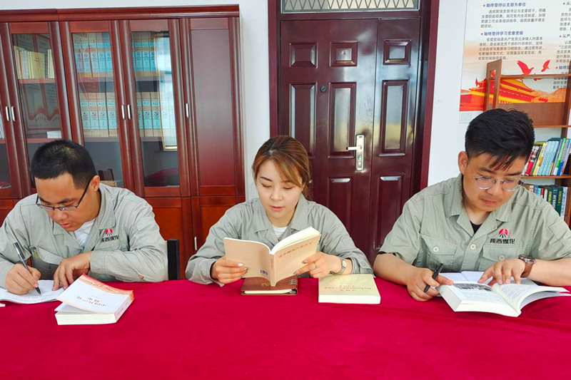 寧夏鑫爾特公司黨支部開展黨史學(xué)習(xí)研討會(huì)1.png