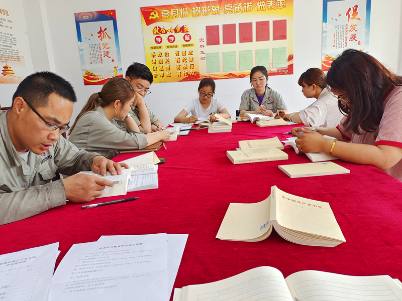 寧夏鑫爾特公司黨支部開展黨史學(xué)習(xí)研討會(huì)2.png