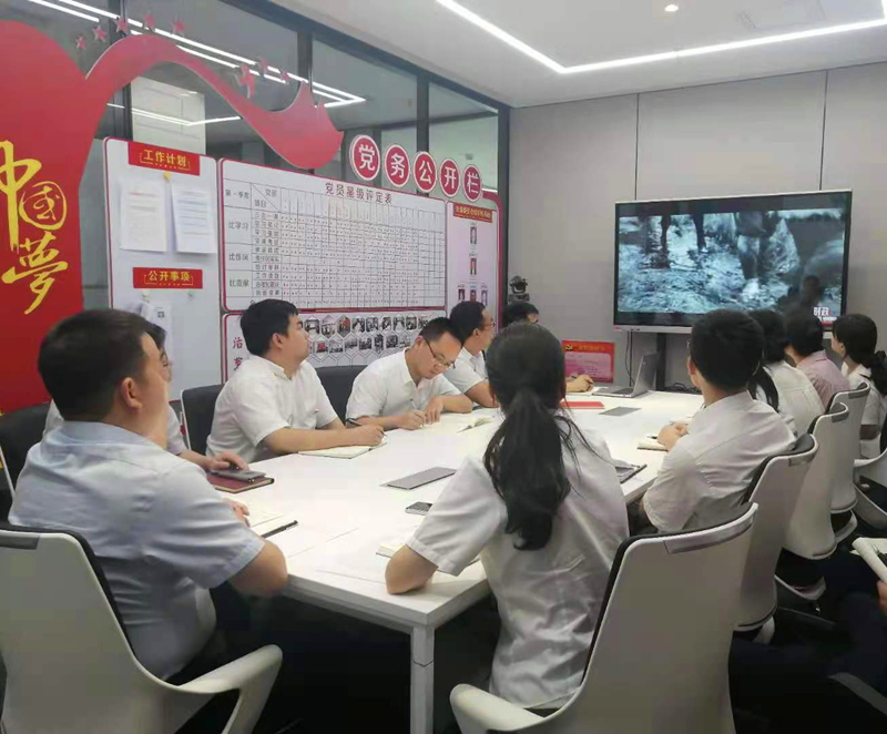 北京新能科技公司黨支部組織開(kāi)展“慶七一”主題黨日活動(dòng)