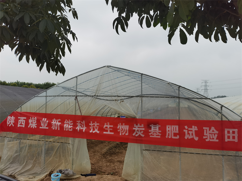 三原公司：沃土肥田，生物質炭基肥田間試驗進行時-1.png