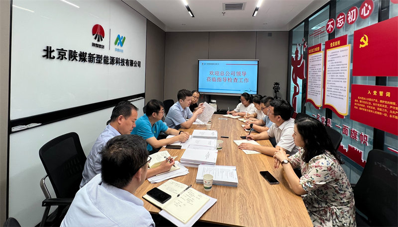 新型能源公司聯(lián)合檢查組對北京公司進(jìn)行綜合檢查-1.png
