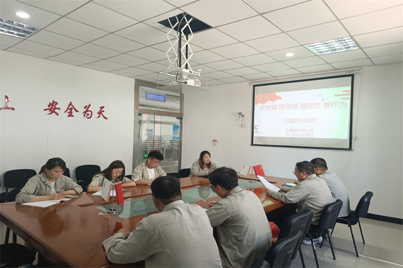 寧夏鑫爾特公司黨支部支組織開展“學(xué)黨章、悟思想、強(qiáng)黨性、善作為”主題黨日活動.png